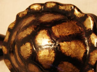 Tortuga Colores 02