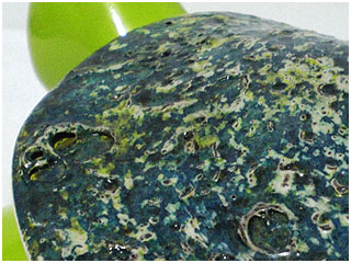 Tortuga Colores 05
