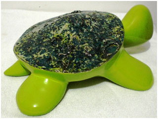 Tortuga Coral 01