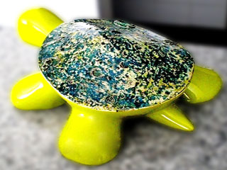 Tortuga Coral 01b