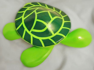 Tortuga Fusión 01b
