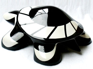 Tortuga Geometría 05c