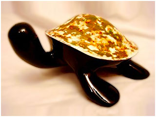 Tortuga Mármol 02
