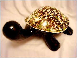 Tortuga Mármol 03