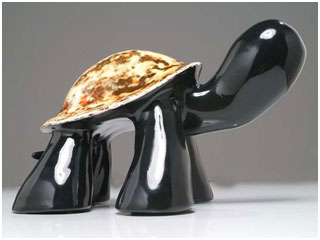 Tortuga Mármol 08