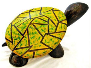 Tortuga Nácar 01