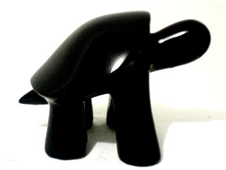 Tortuga Negra 05