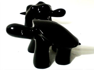Tortuga Negra 11
