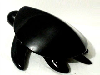 Tortuga Negra 16
