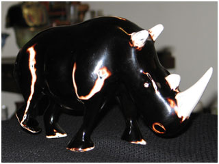 Rinoceronte GioArt 01