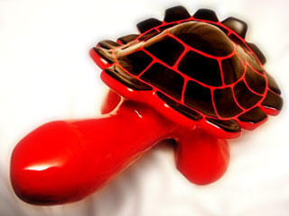 Tortuga Roja 02b