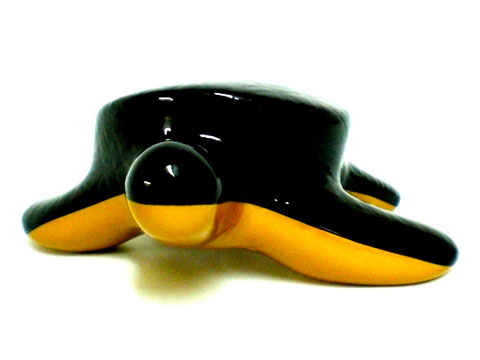 Tortuga Bicolor – GioArt