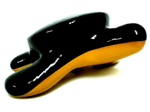 Tortuga Bicolor 02