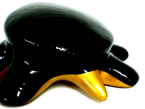 Tortuga Bicolor 04